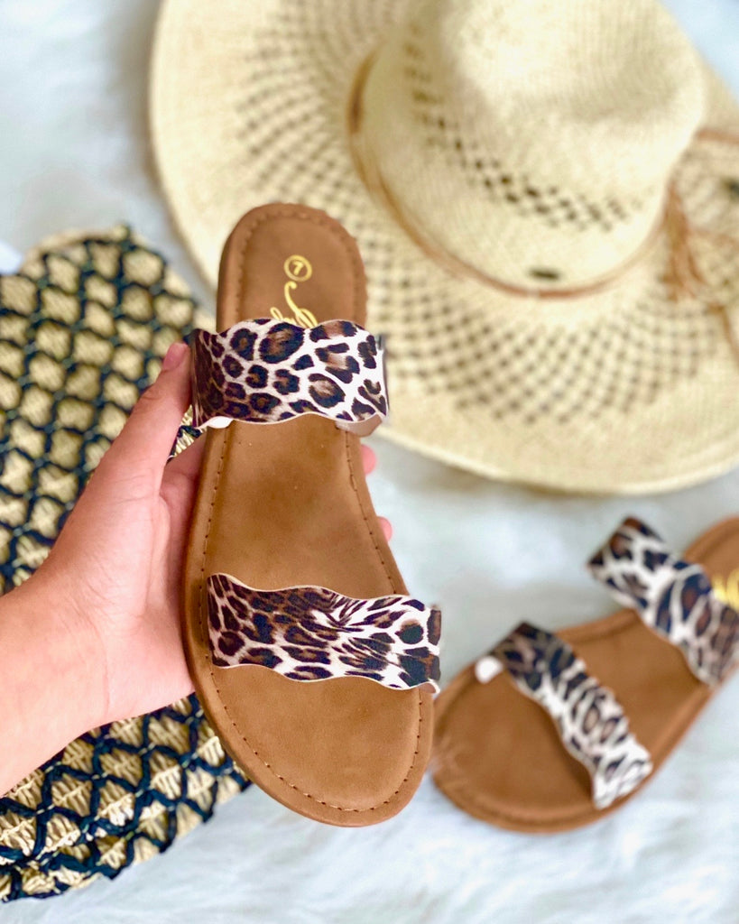 Snow leopard slides