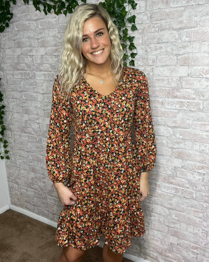 Picnic at the Park Dress